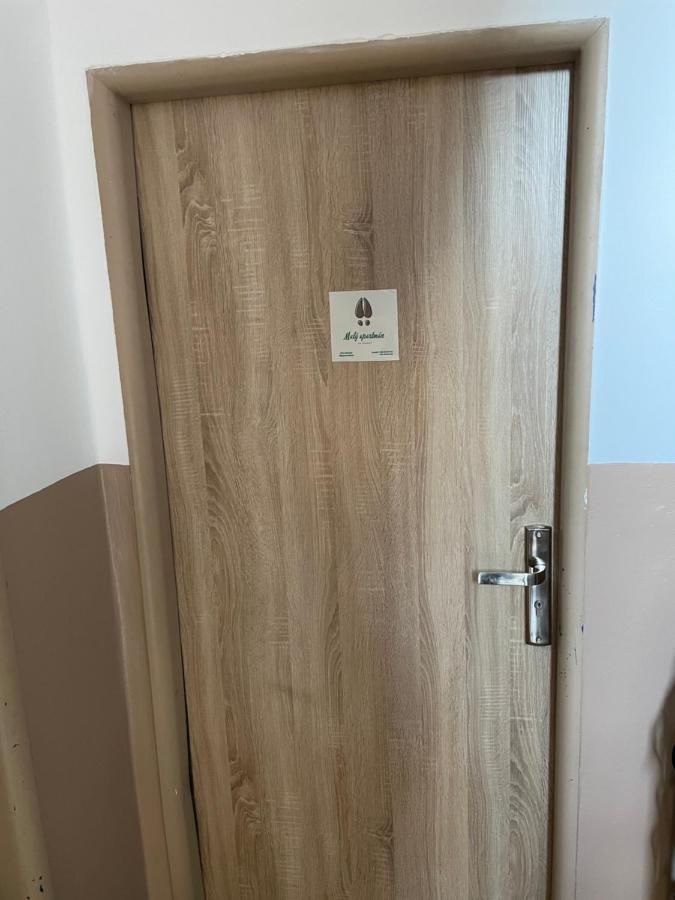 Apartment Maly Na Sumave *